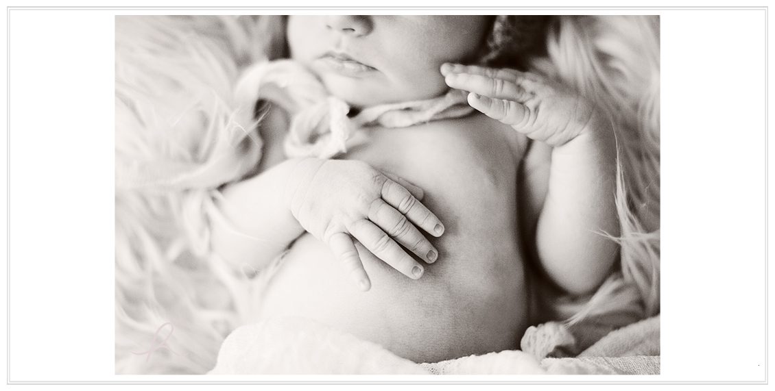 5 Heather Roth Photography
