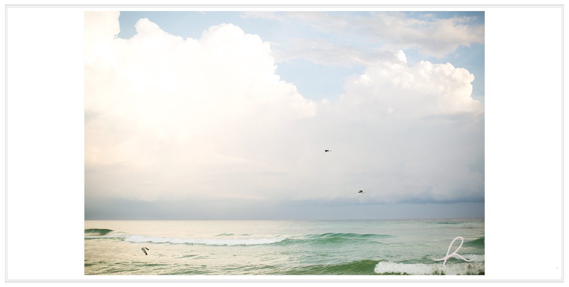 5 Heather Roth Photography