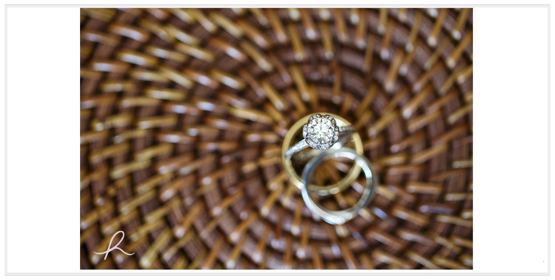 5 Heather Roth Photography