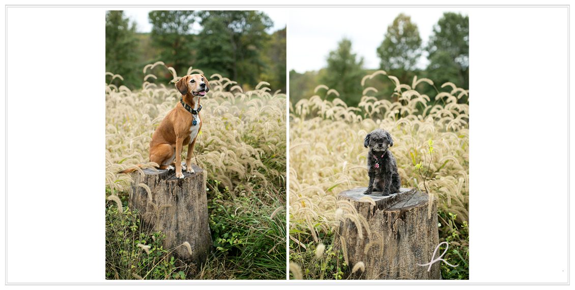 11 Heather Roth Photography