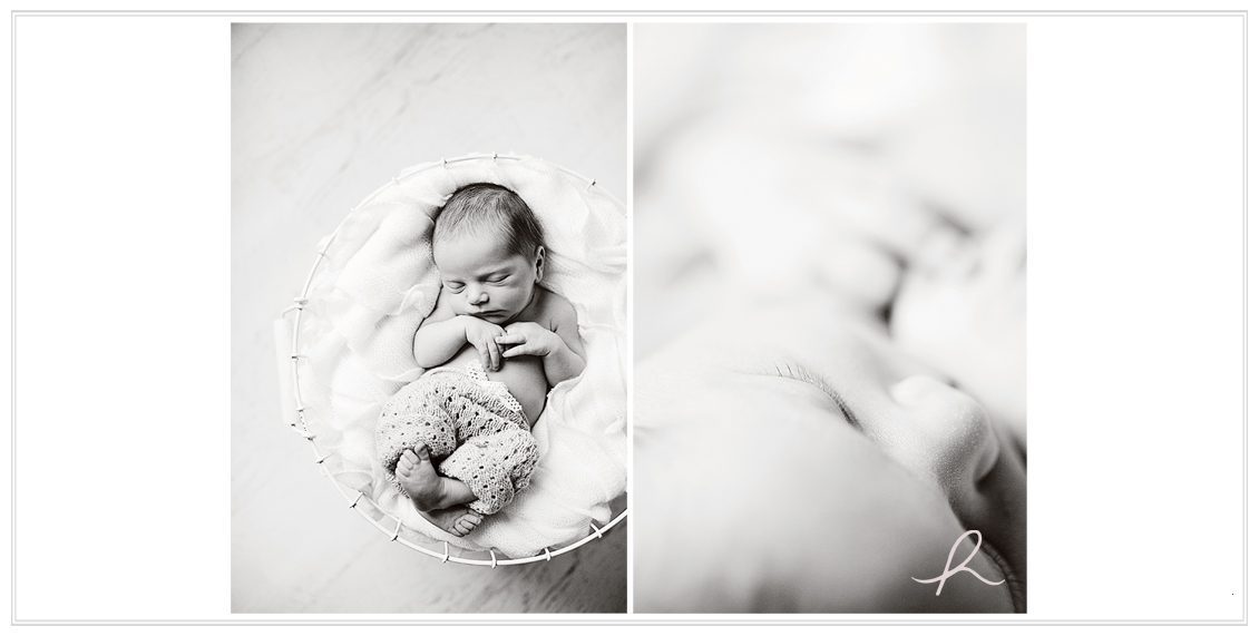4 Heather Roth Photography