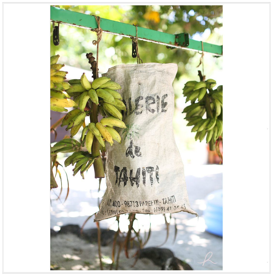 8 Heather Roth Photography