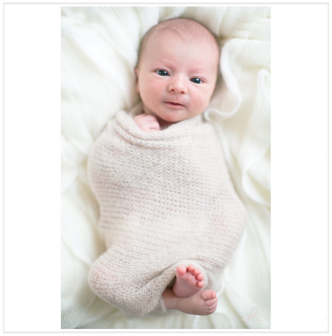 8 Heather Roth Photography