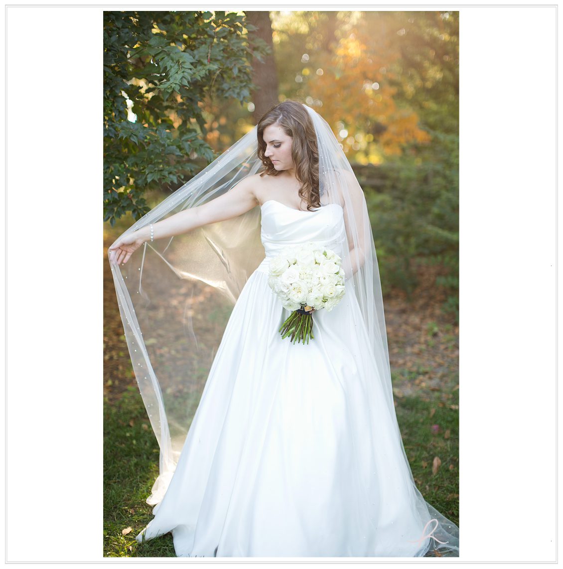 15a Heather Roth Photography
