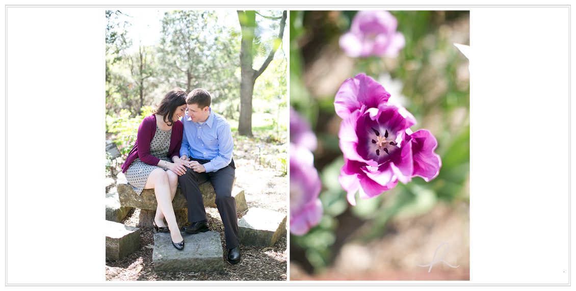 2 st louis botanical garden engagement