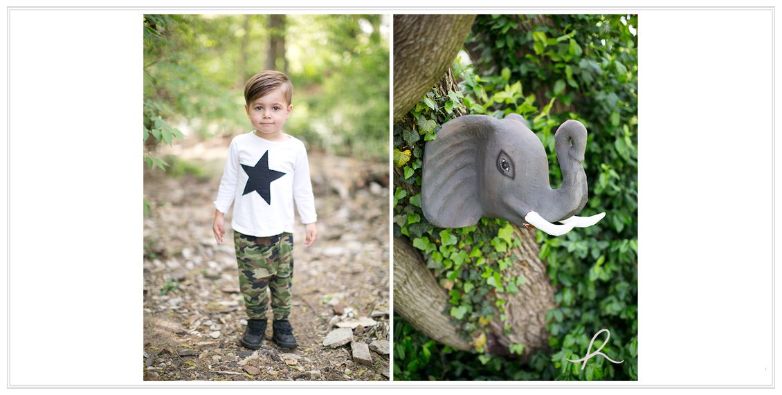 4 st louis family photography