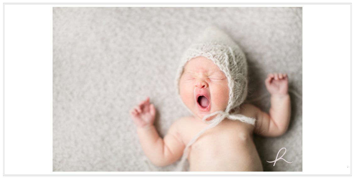 4 st louis newborn photographer
