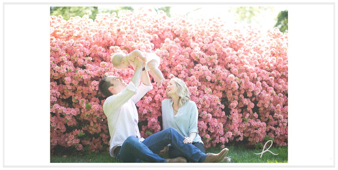 7 st louis family photography