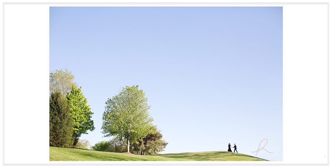 9 st louis engagement photographer