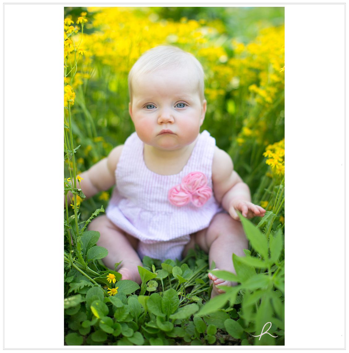9 st louis family photography