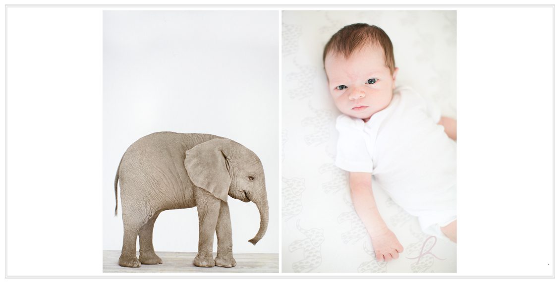 8 Heather Roth Photography