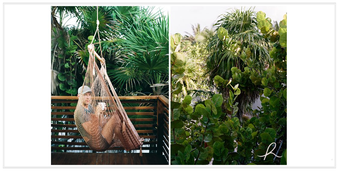 6 Heather Roth Photography
