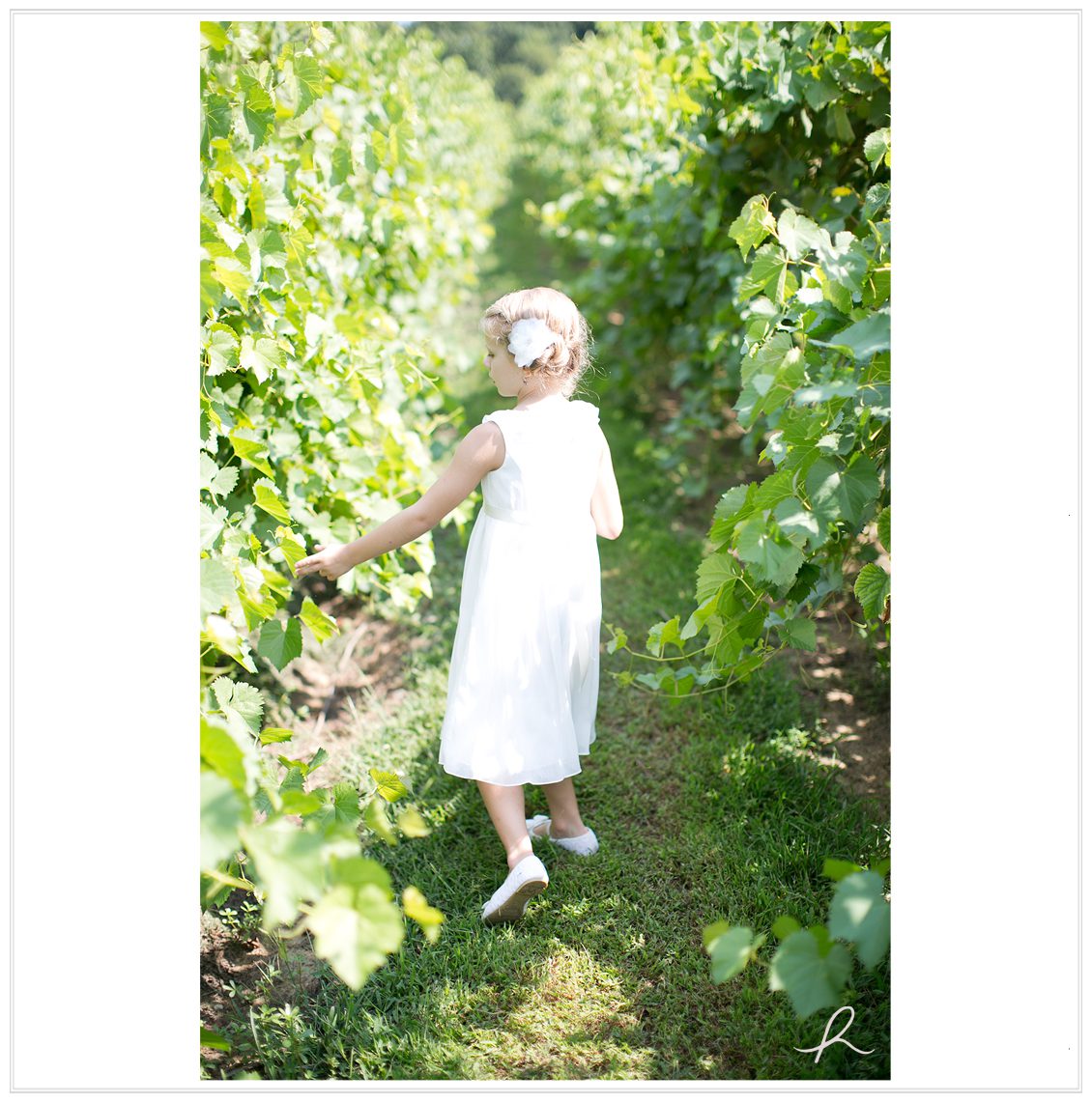 8 Heather Roth Photography