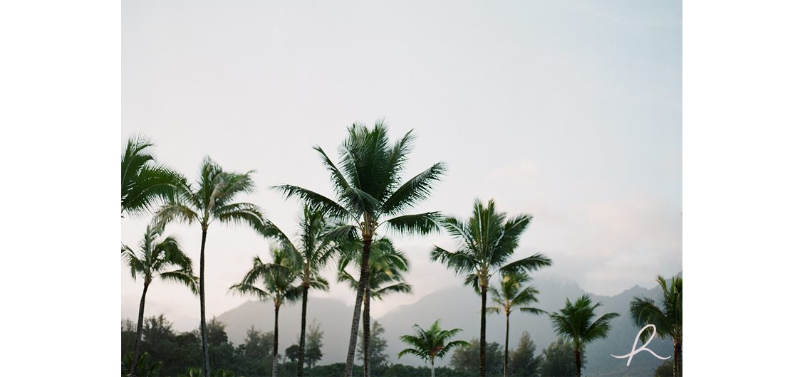 5 Heather Roth Photography Hawaii