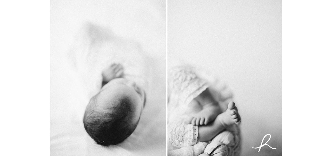 5-heather-roth-photography