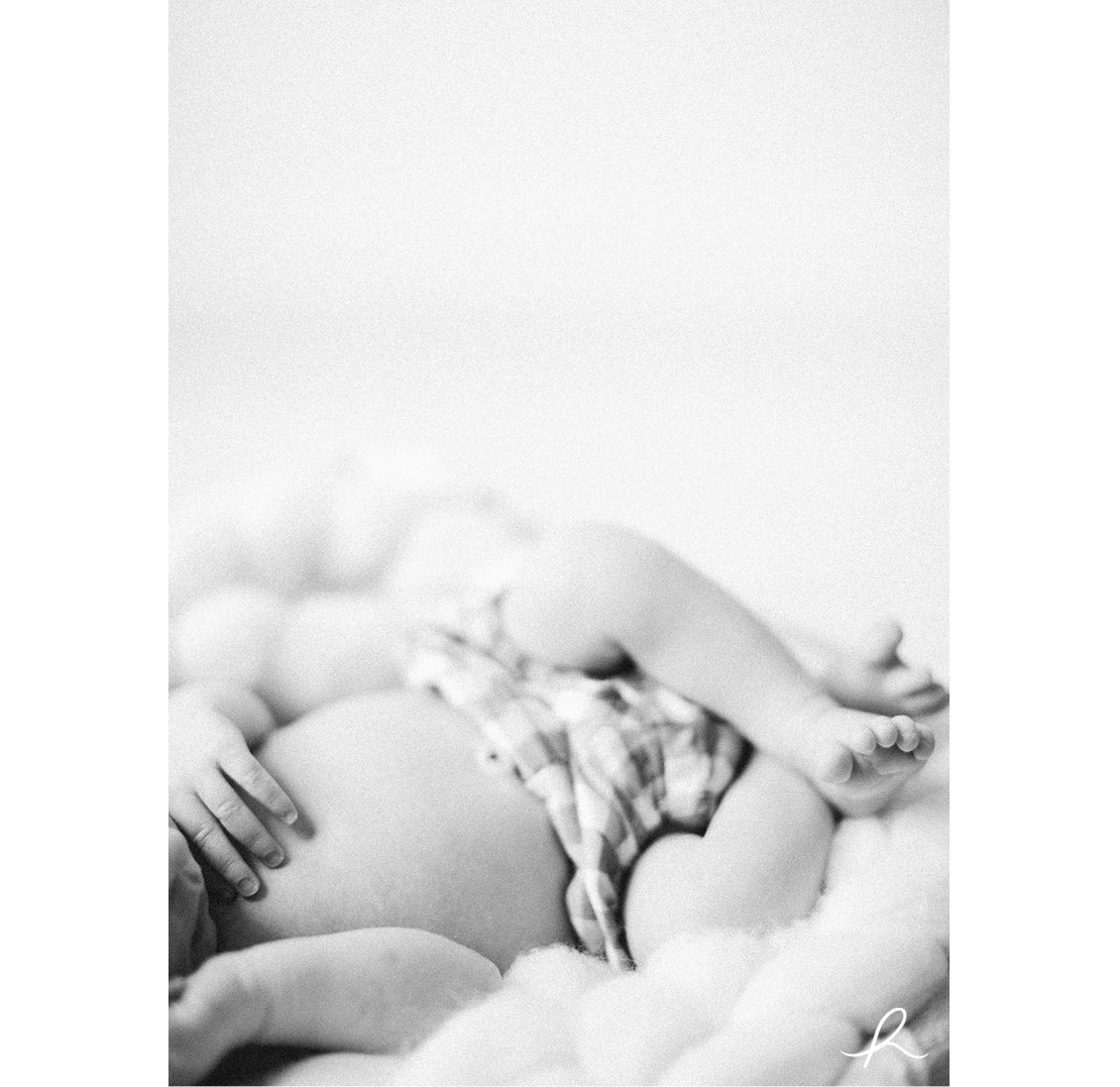 8-heather-roth-photography