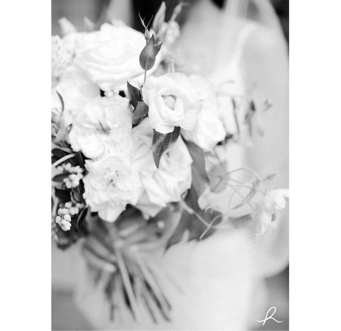 7 Heather Roth Photography