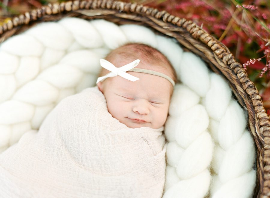 Aubrey Saint Louis Newborn Photographer 5