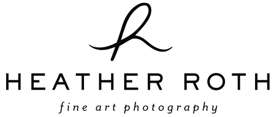 Heather Roth Fine Art Photography » Photo Blog » page 3